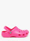 dragon fruit